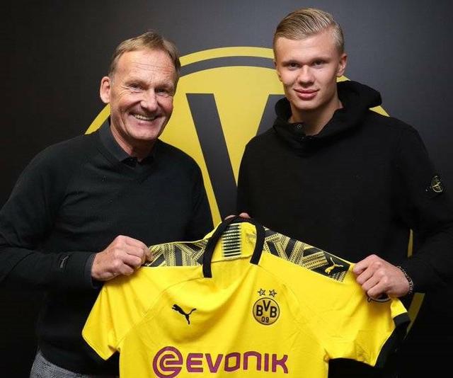 《33号远征队》拿下2025金摇杆年度最佳